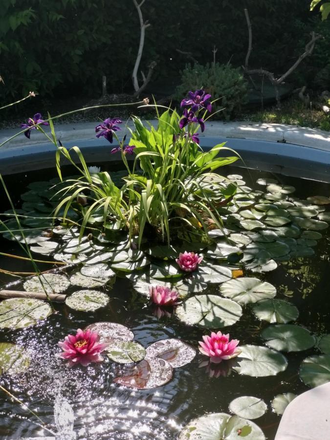 La Corte Del Macero Konuk evi Castelfranco Emilia Dış mekan fotoğraf