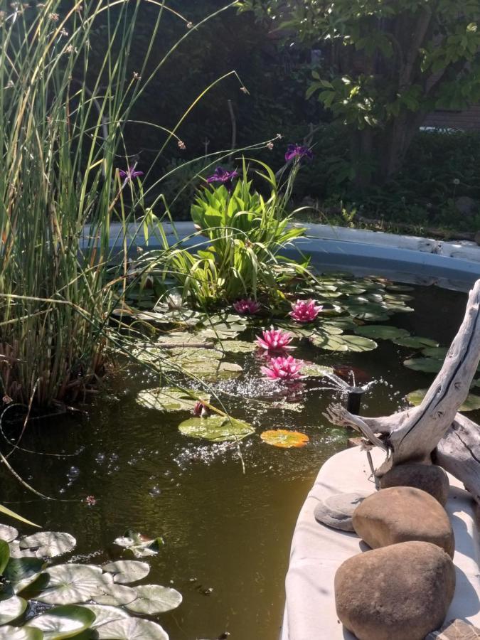 La Corte Del Macero Konuk evi Castelfranco Emilia Dış mekan fotoğraf