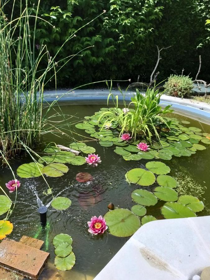 La Corte Del Macero Konuk evi Castelfranco Emilia Dış mekan fotoğraf